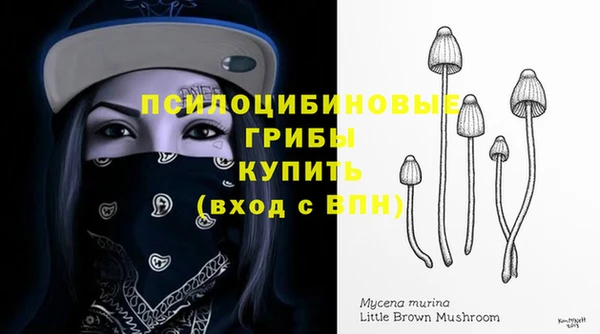 МДПВ Арсеньев